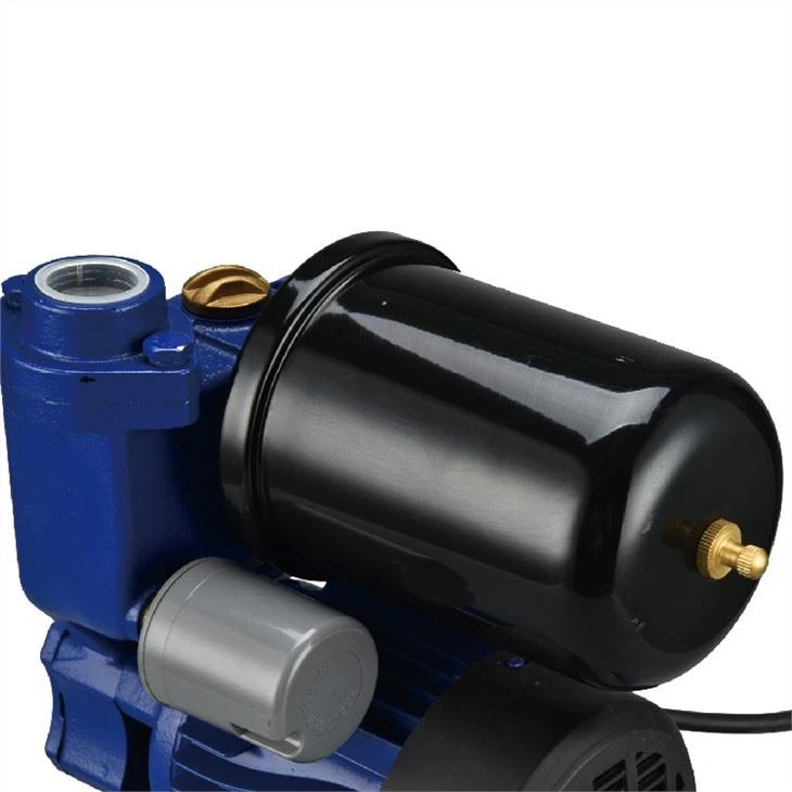 self-priming peripheral pump  (4)
